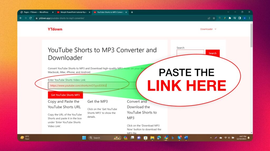 YouTube Shorts to MP3 Converter and Downloader 02